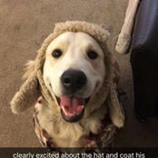 Shannon Johnson's photo