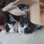 Foto von Sarah&Flo