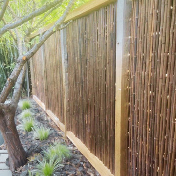 A Tranquil Oasis in South Congress