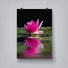 Pink Asia Lotus Flower 2, 8"H x 10"W x 0.1"D