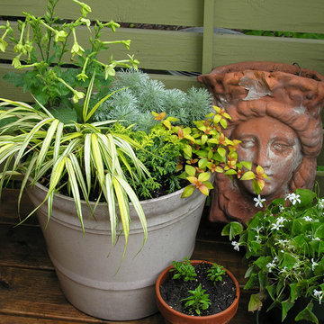 Container plantings and Edible container plantings | Artistry Landscaping Design