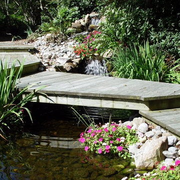 Deck Bridge Over Pond