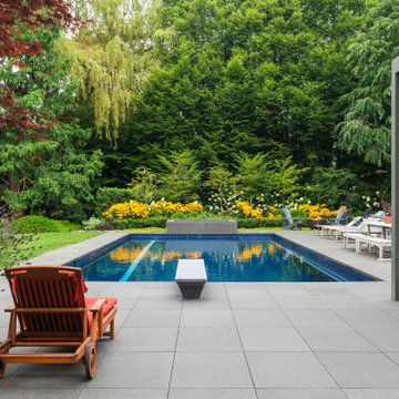 Modern Garden Lap Pool