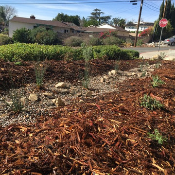 Remove Grass Patch #1