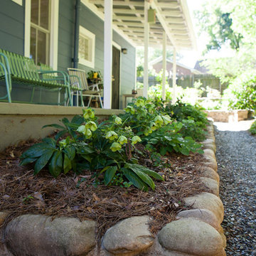 Rain Gardens & Native Plants