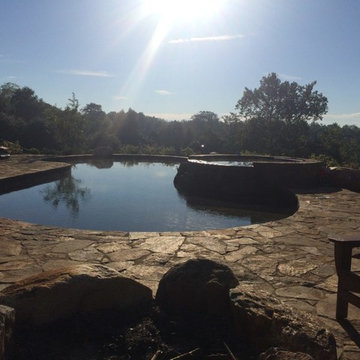 Natural Free Form Pool