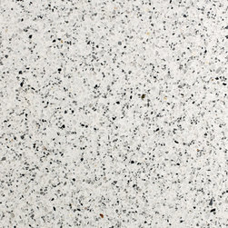 SB 101 PEPESALE - Architectural Terrazzo - Agglotech (Pre-Order) - Kitchen Countertops