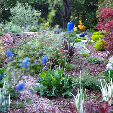 Lawn Replacement in a Challenging Environment