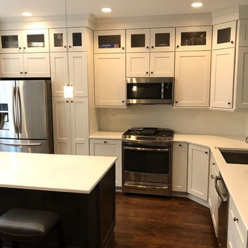 Chicago South Loop Kitchen Remodel