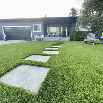 Artificial Grass