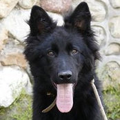 Ivan Nikolov's photo