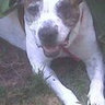 Del Ann Haslett's photo