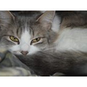 Terri Roy's photo