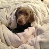 Kathy Breen's photo