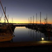 Debbie Duyvesteyn's photo