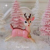 Celeste Governanti's photo