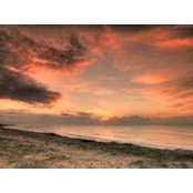 Ann Dunn's photo