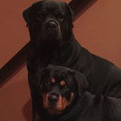 Renee Raczka's photo