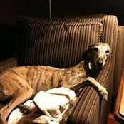 Stephanie Schoonover's photo