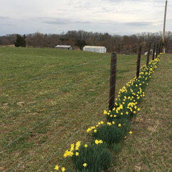 Fence Options - Products
