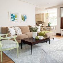 Living Room Ideas