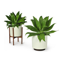 Planters