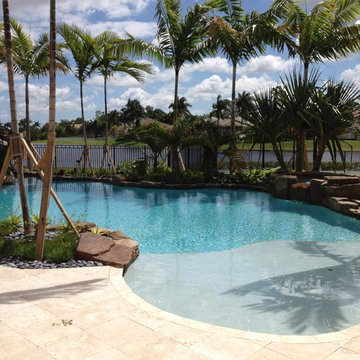 Contemporary Landscape in Weston, FL
