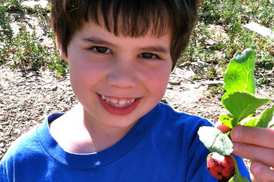School Gardens!