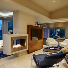 Fireplace Wall