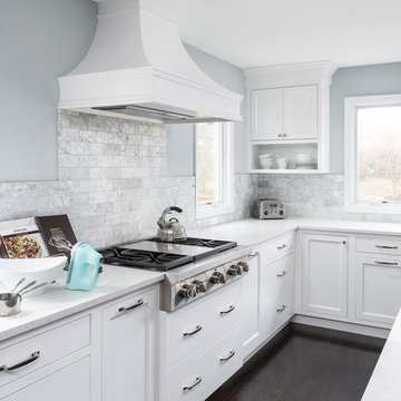 Transitional Kitchen and First Floor Leesburg Remodel - Naperville