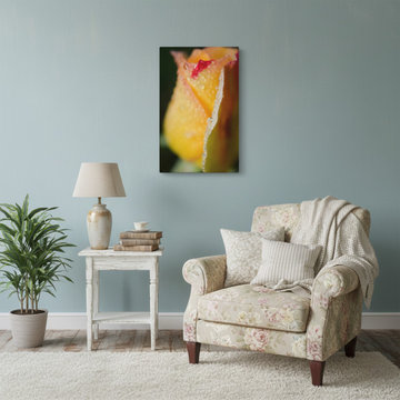 Dew on Yellow Rose Shabby Chic Style Wall Art