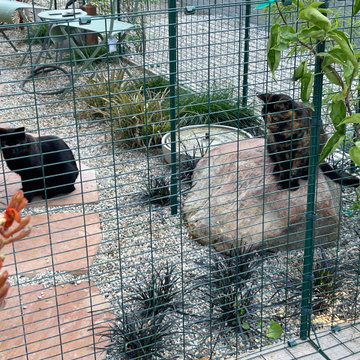 "Catio" patio enclosure for cats