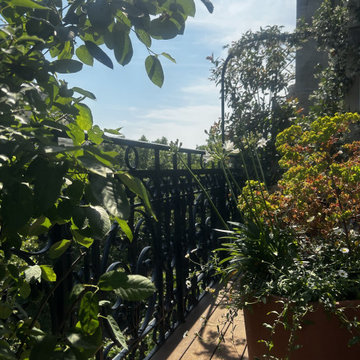 Aménagement paysager d'un balcon filant à Paris...