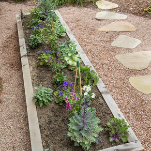 デンバーの中サイズのトランジショナルスタイルのおしゃれな裏庭のテラス (家庭菜園、砂利舗装、日よけなし) の写真