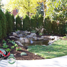 Backyard Pond