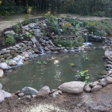 Back Yard Pond - Avon