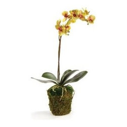 Showroom Inventory - Products