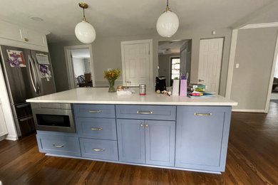 Inspiration for a kitchen remodel in DC Metro