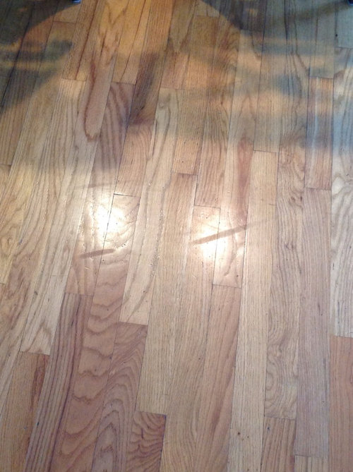 Are my hardwood floors ruined? Please help!