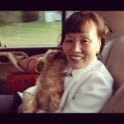 Sue Chao's photo