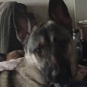 Joanie Krizer's photo