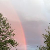Claire Wren's photo