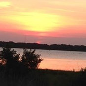 Annette Brownell's photo