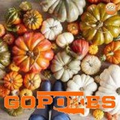 Sue Odom's photo