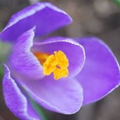 Elyane Rheaume's photo