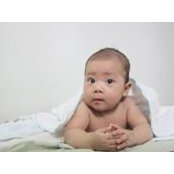 Nguyen Chu's photo