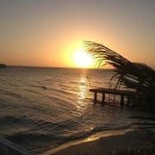 Sandra Muller Edwards's photo