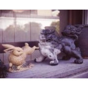 Andre Macedo's photo
