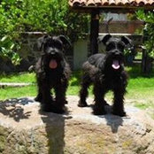 Dina Burak's photo