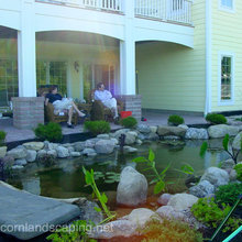Landscape Ideas